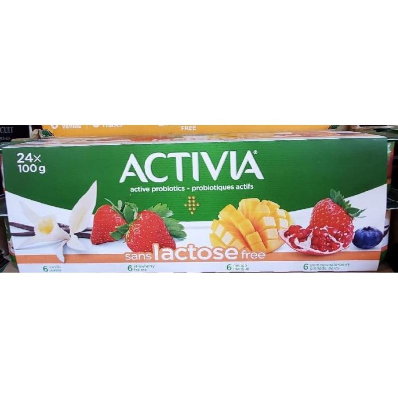 Danone Activia Yogurt 24x100g – cangrotest